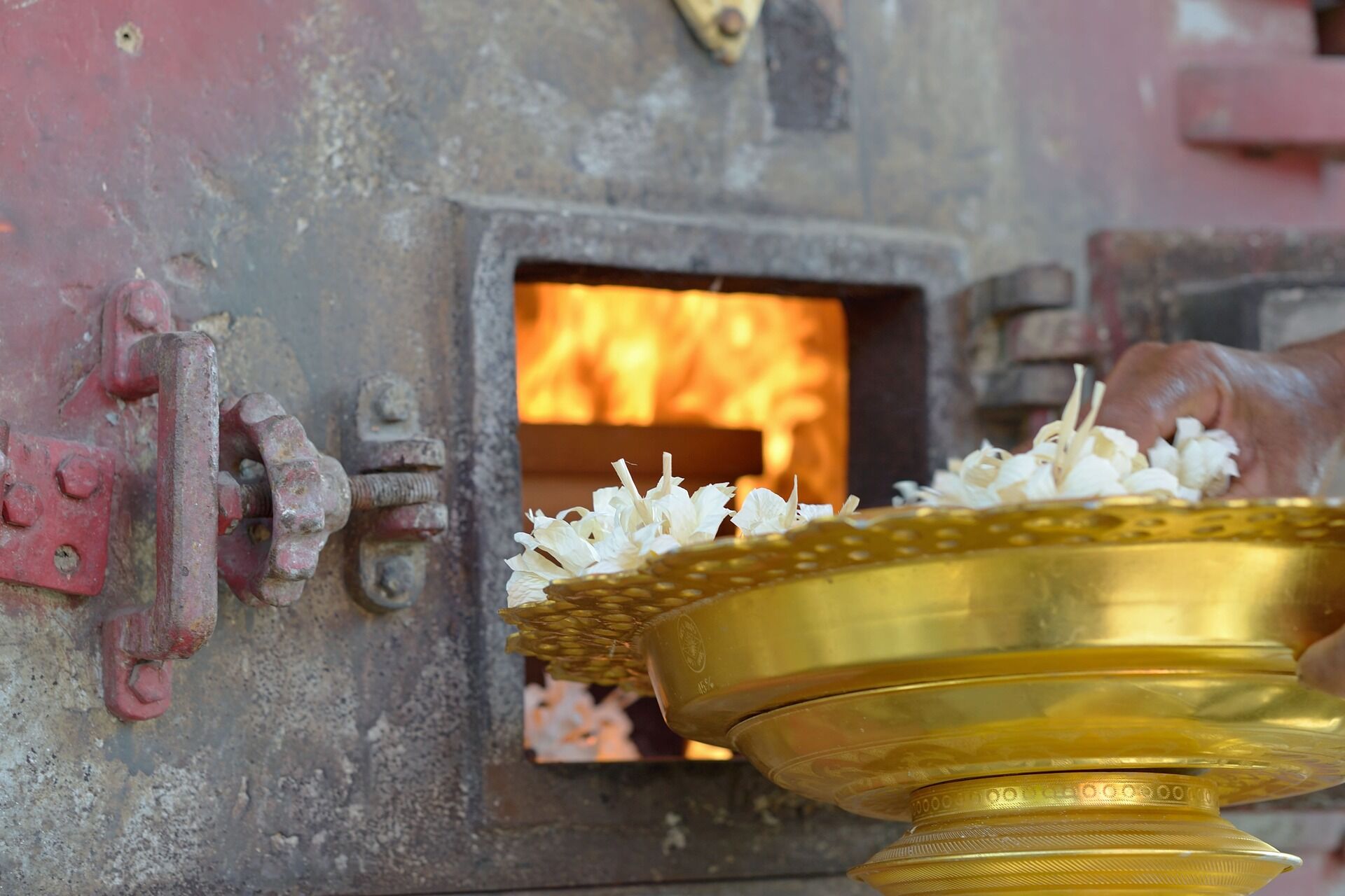 AdobeStock_254432739.jpeg
