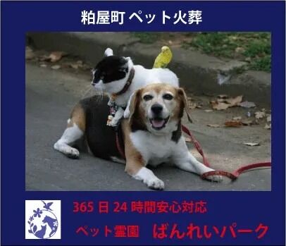 糟屋郡粕屋町ペット火葬・葬儀