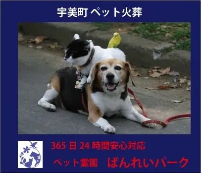 糟屋郡宇美町ペット火葬・葬儀