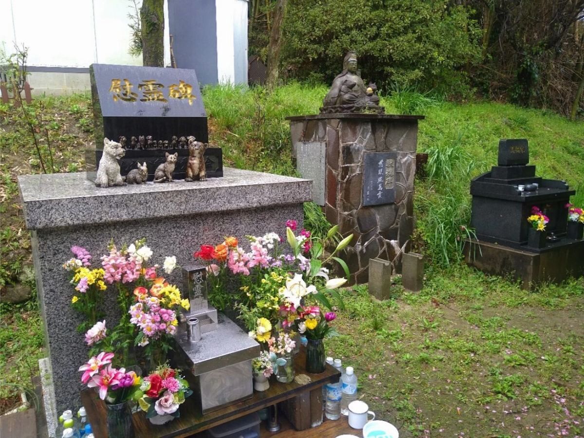 image (4)